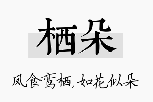 栖朵名字的寓意及含义