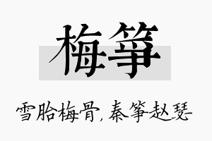 梅筝名字的寓意及含义