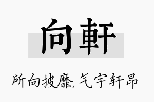 向轩名字的寓意及含义