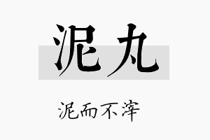 泥丸名字的寓意及含义