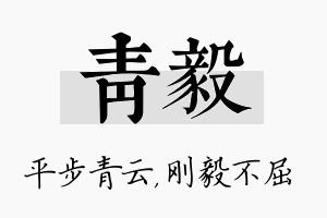 青毅名字的寓意及含义