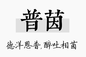 普茵名字的寓意及含义