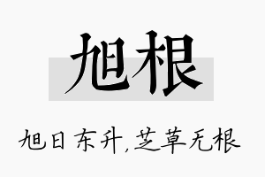 旭根名字的寓意及含义