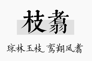 枝翥名字的寓意及含义