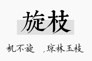 旋枝名字的寓意及含义