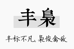 丰枭名字的寓意及含义