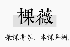 棵薇名字的寓意及含义