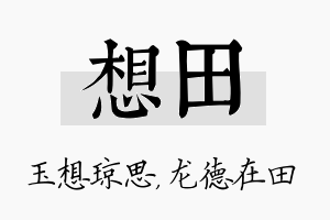 想田名字的寓意及含义