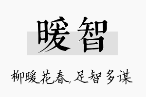 暖智名字的寓意及含义