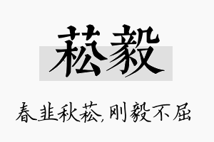 菘毅名字的寓意及含义