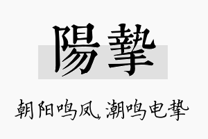 阳挚名字的寓意及含义