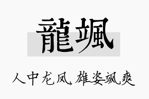 龙飒名字的寓意及含义