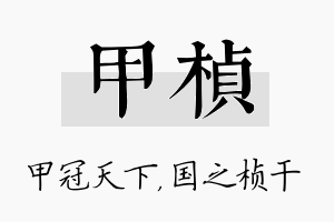 甲桢名字的寓意及含义