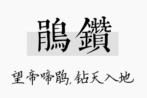 鹃钻名字的寓意及含义