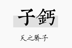 子钙名字的寓意及含义