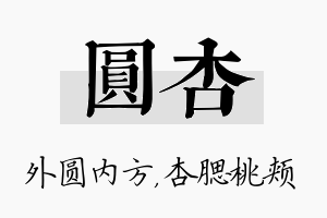 圆杏名字的寓意及含义