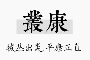 丛康名字的寓意及含义