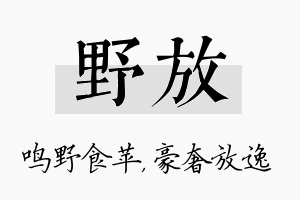 野放名字的寓意及含义