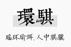 环骐名字的寓意及含义