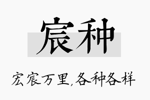 宸种名字的寓意及含义