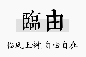 临由名字的寓意及含义