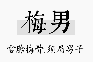 梅男名字的寓意及含义