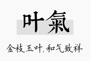 叶气名字的寓意及含义