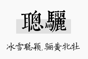 聪骊名字的寓意及含义