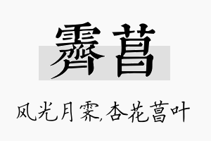 霁菖名字的寓意及含义