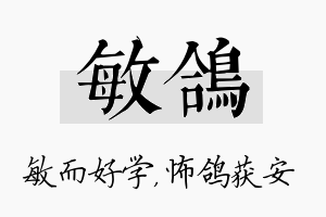 敏鸽名字的寓意及含义