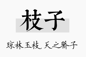 枝子名字的寓意及含义