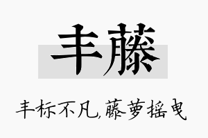 丰藤名字的寓意及含义