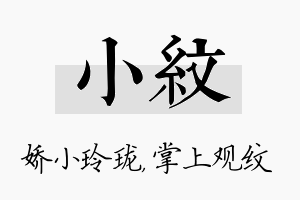 小纹名字的寓意及含义