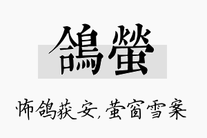 鸽萤名字的寓意及含义