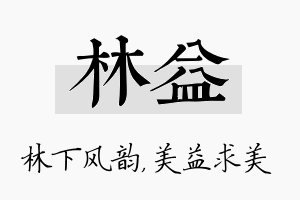 林益名字的寓意及含义