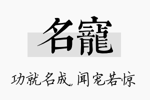 名宠名字的寓意及含义