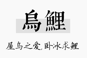 乌鲤名字的寓意及含义