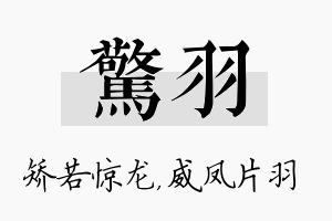 惊羽名字的寓意及含义