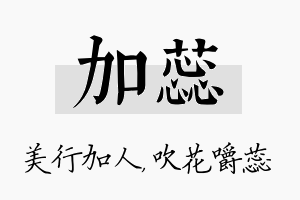 加蕊名字的寓意及含义