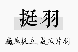 挺羽名字的寓意及含义