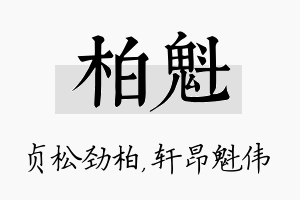 柏魁名字的寓意及含义