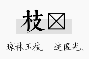 枝弢名字的寓意及含义