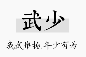 武少名字的寓意及含义