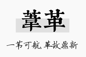 苇革名字的寓意及含义