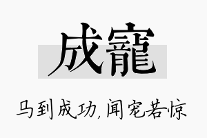 成宠名字的寓意及含义