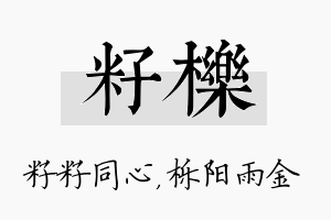 籽栎名字的寓意及含义