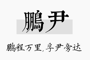 鹏尹名字的寓意及含义