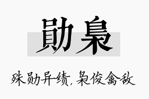 勋枭名字的寓意及含义