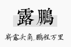 露鹏名字的寓意及含义