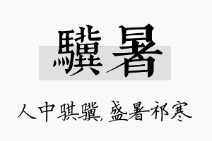 骥暑名字的寓意及含义